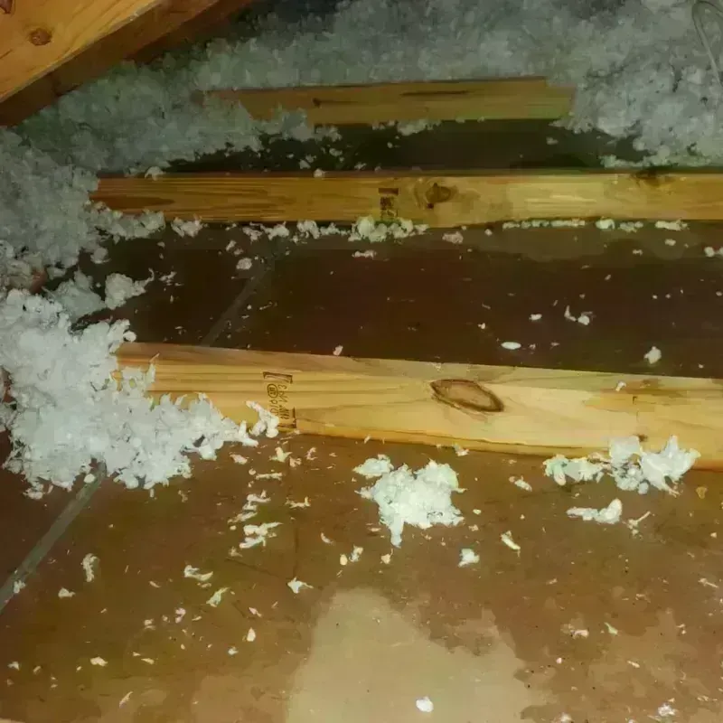 Attic Water Damage in Fish Lake, IN